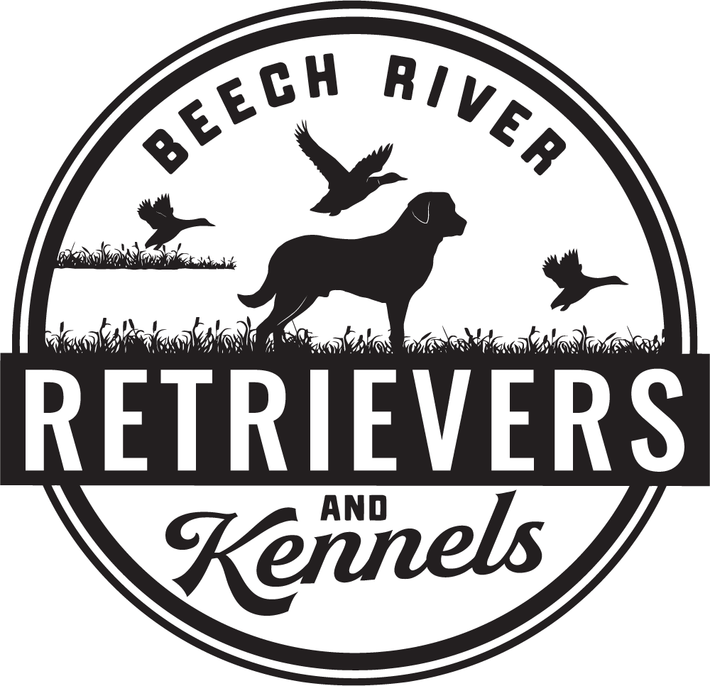Beech River Logo